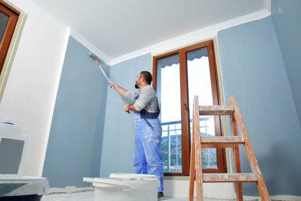Best Mold Odor Removal Services  in North Bethesda, MD
