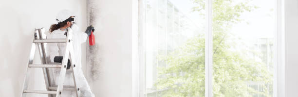  North Bethesda, MD Mold Removal Pros
